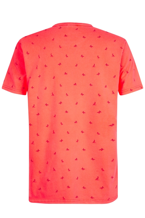Petrol Industries men t-shirt ss aop